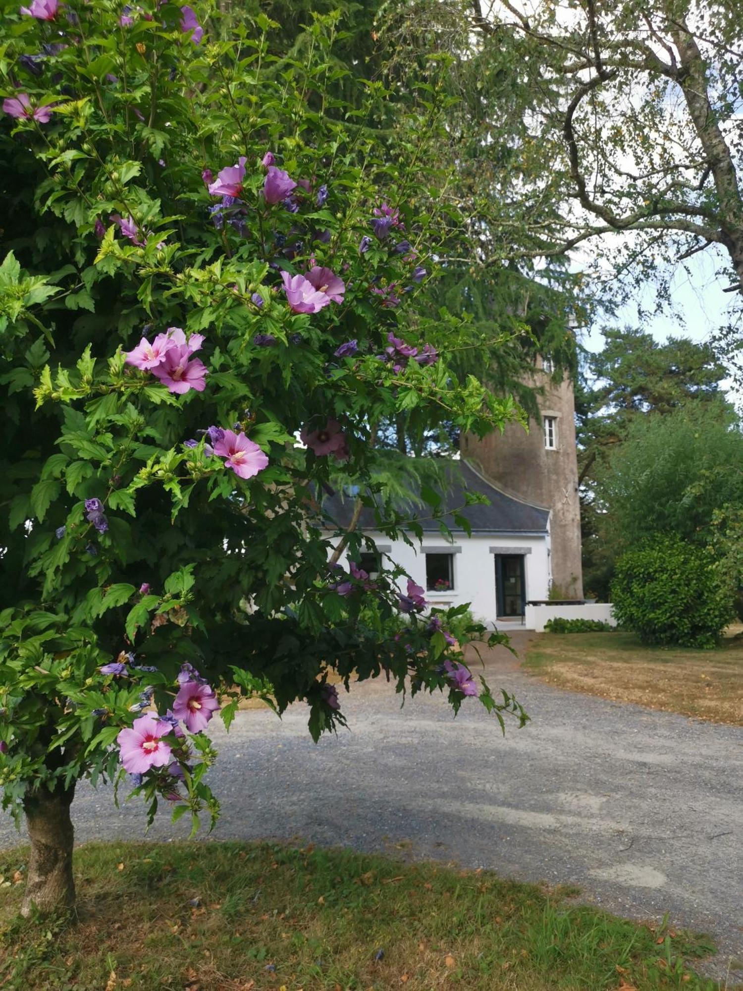 Le Moulin De La Retardiere Orvault Exterior foto