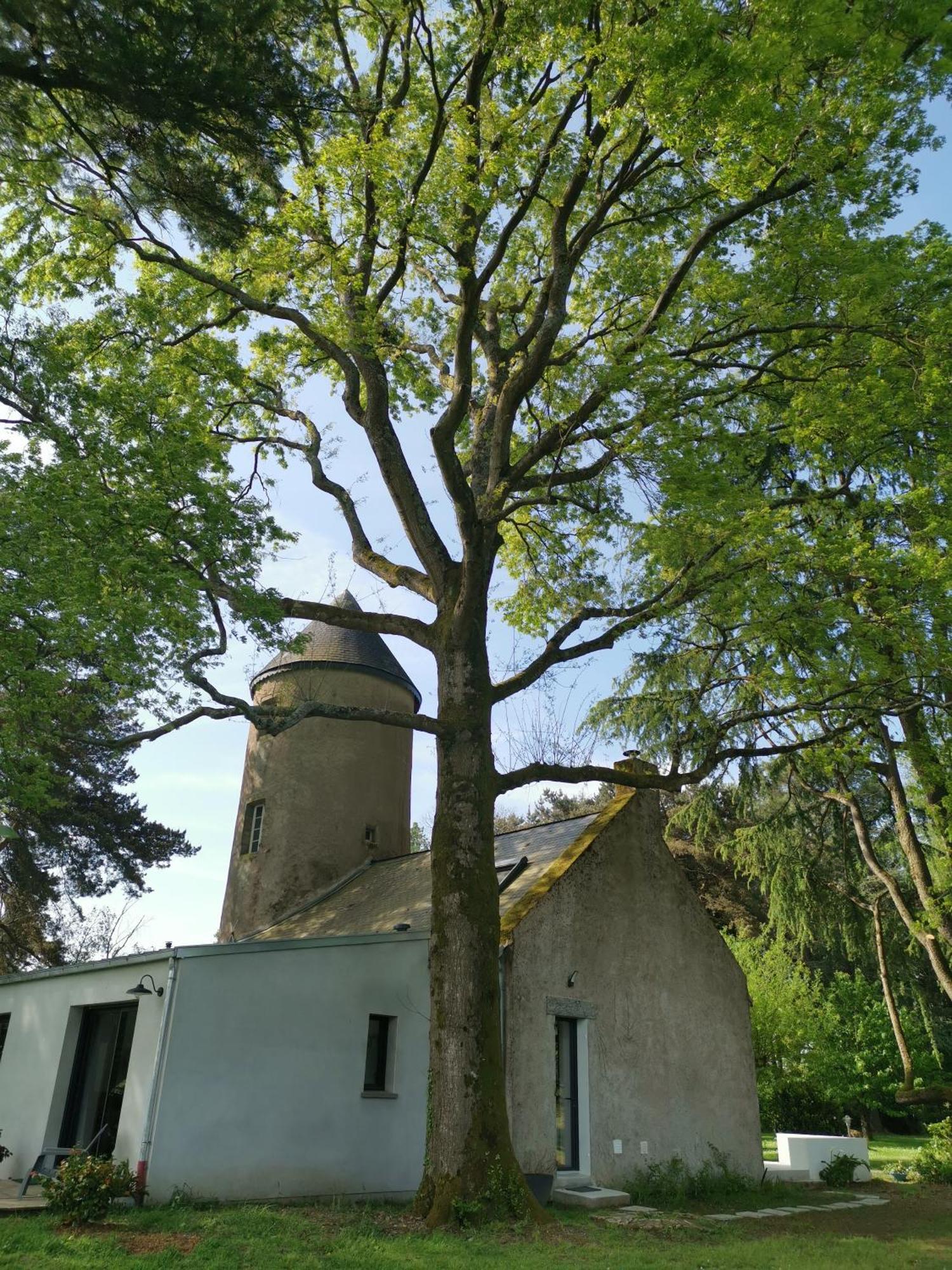 Le Moulin De La Retardiere Orvault Exterior foto